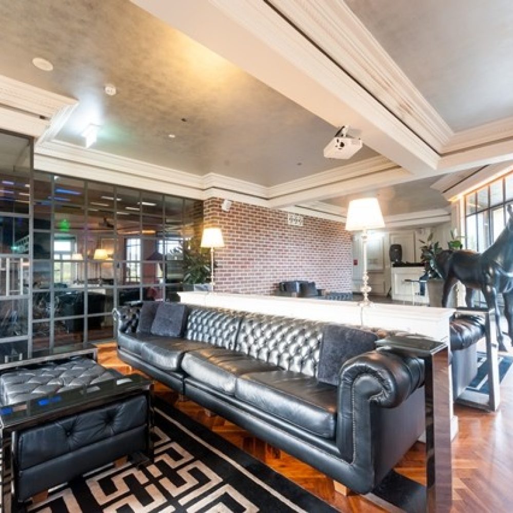 Polo-1.0-640x426 (1)